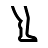 Lower Limb