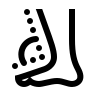Lower Limb