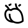 Cardiothoracic