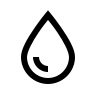 Ventricular System