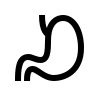 Oesophagus