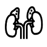 Adrenal Gland