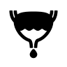 Lower Urinary Tract including the Penis